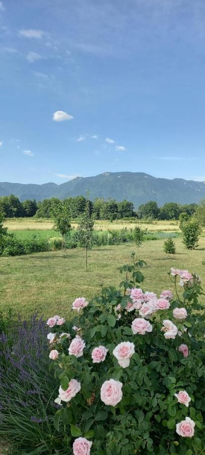 Kuca Za Odmor Boki Vila Gospić Exterior foto